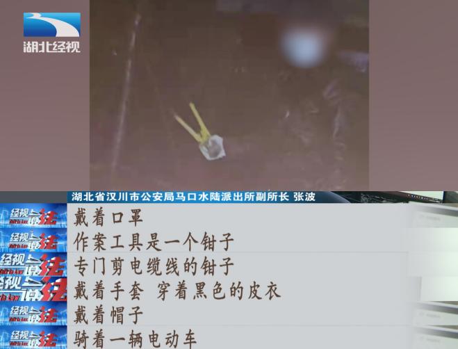 圖片